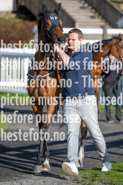 20240509-185200-DSC2273