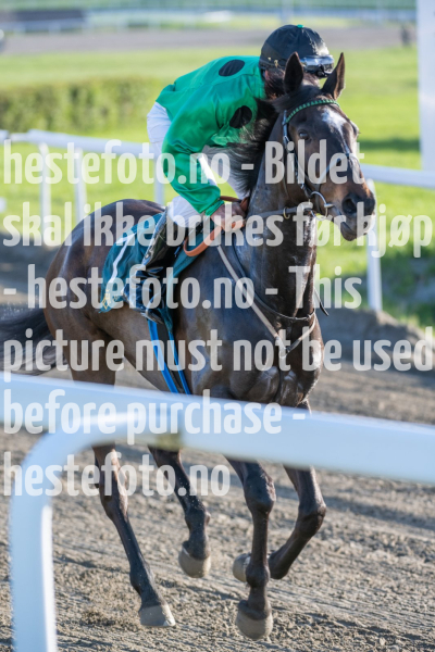 20240509-192551-DSC2404