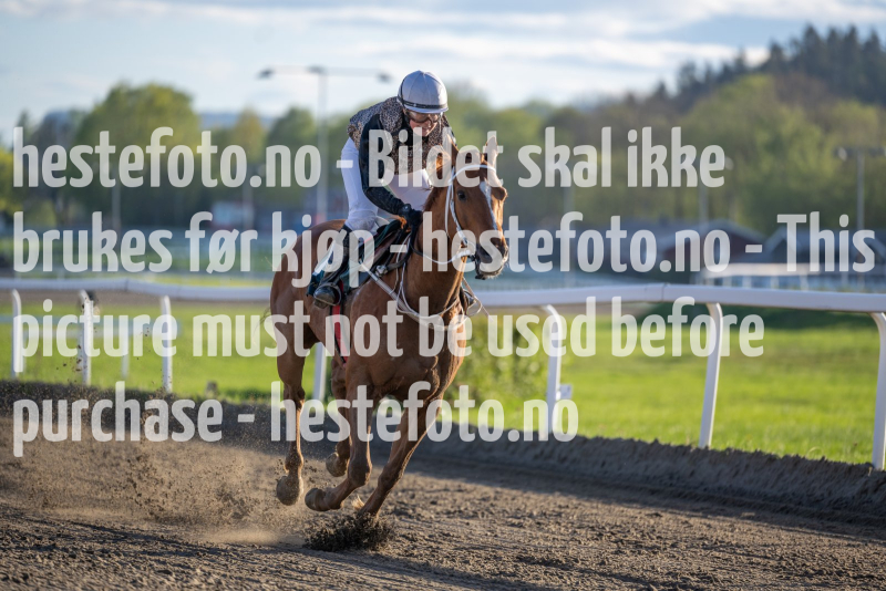 20240509-193239-DSC2468