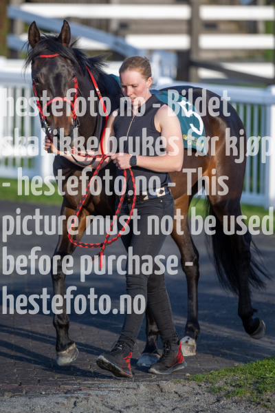 20240509-194418-DSC2574