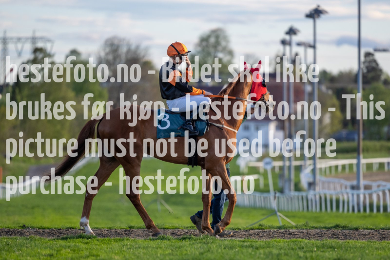 20240509-195139-DSC2640