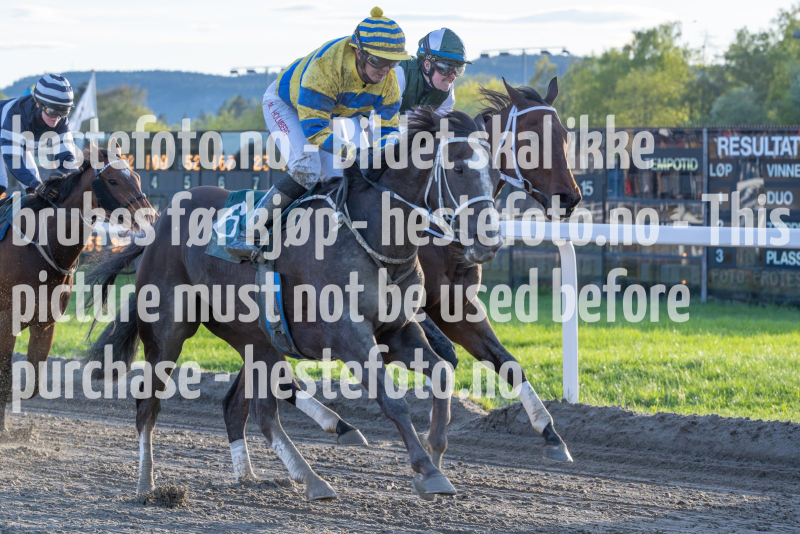 20240509-195658-DSC2654-Forbedret-NR