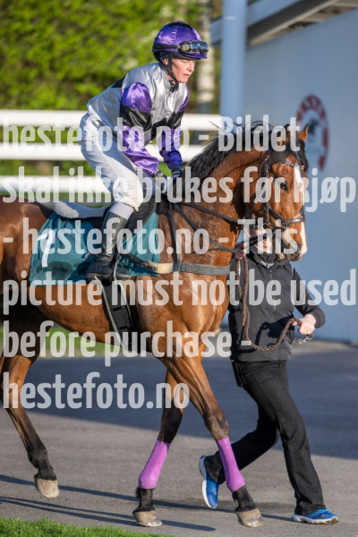 20240509-201352-DSC2764
