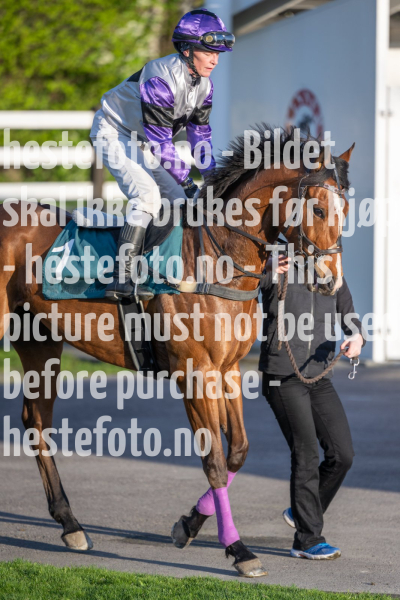 20240509-201352-DSC2765