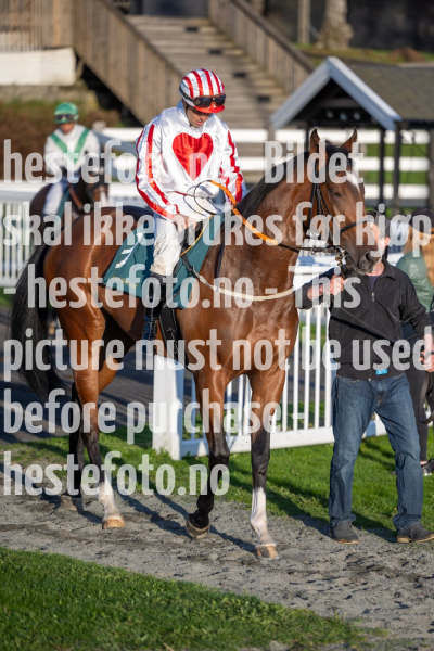 20240509-201427-DSC2774