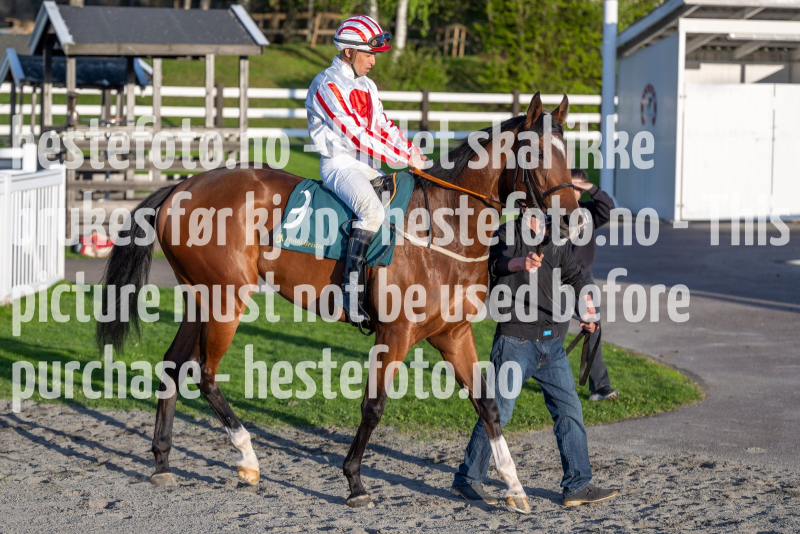 20240509-201431-DSC2779