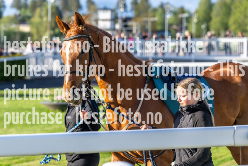 20240509-191824-DSC_3387