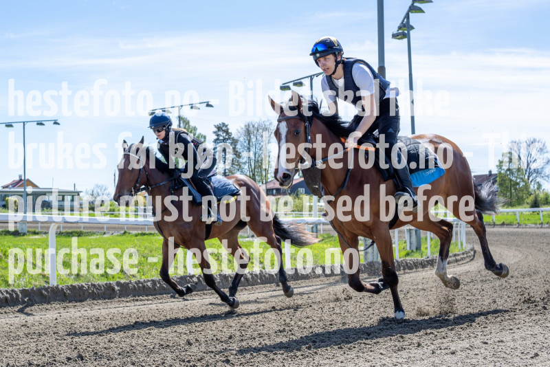 20240511-122846-DSC3337-Forbedret-NR