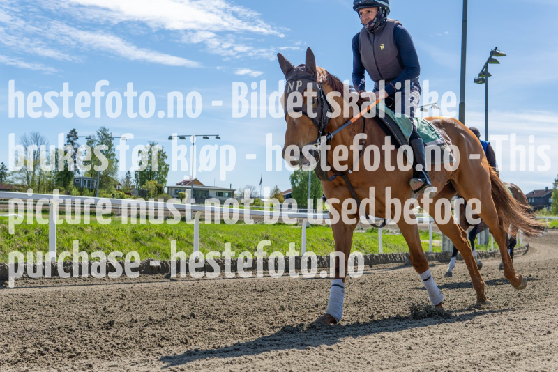 20240511-123425-YNE00771-Forbedret-NR