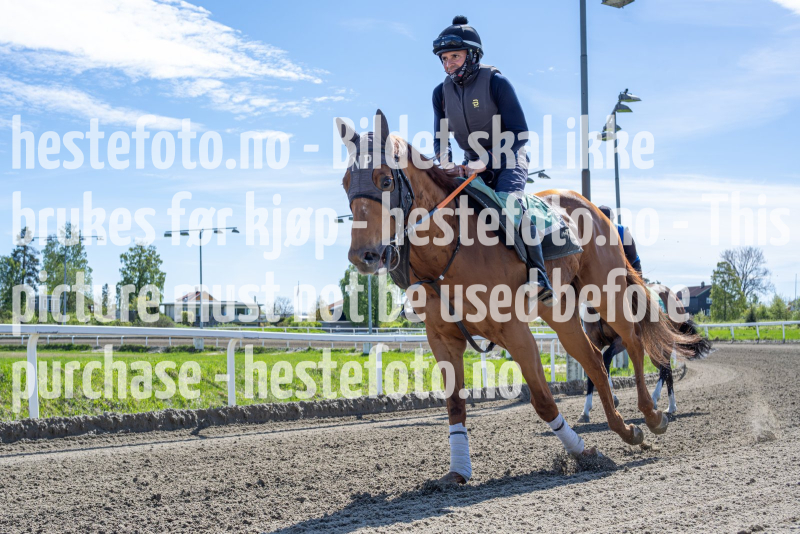 20240511-123429-DSC3369-Forbedret-NR