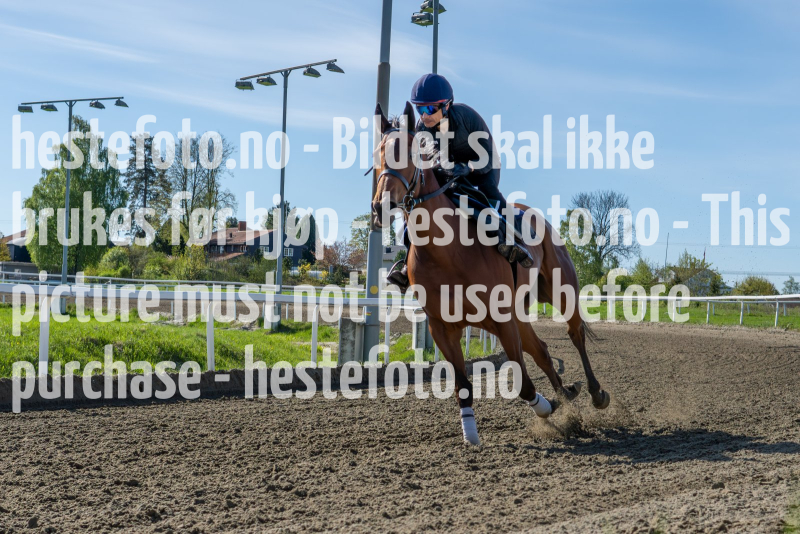 20240511-095146-YNE00451-Forbedret-NR