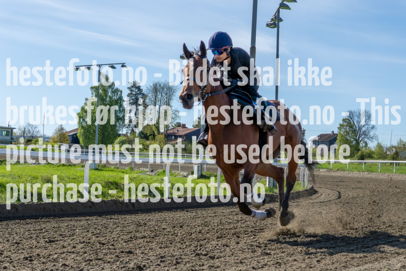 20240511-095146-YNE00452-Forbedret-NR