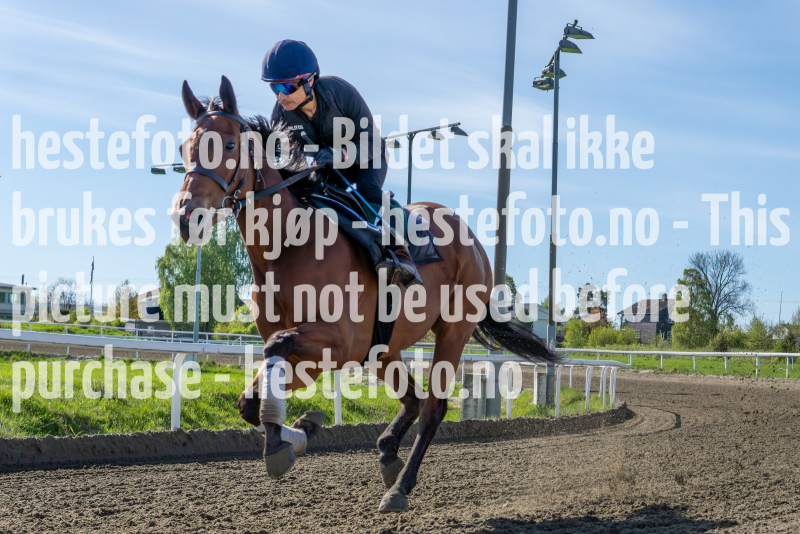 20240511-095146-YNE00453-Forbedret-NR