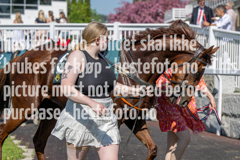 20240517-154836-DSC_0032