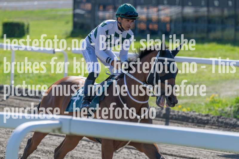 20240517-165007-DSC_1882