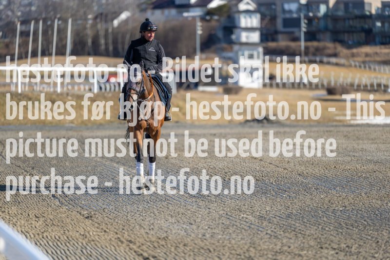 20220319-114127-DSC5041