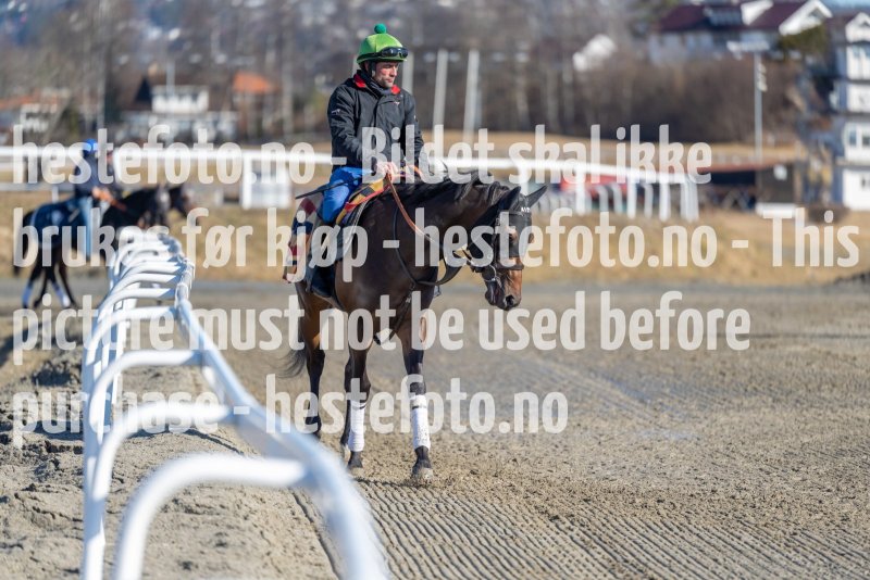 20220319-123401-DSC5194