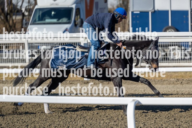 20220319-123933-DSC5327