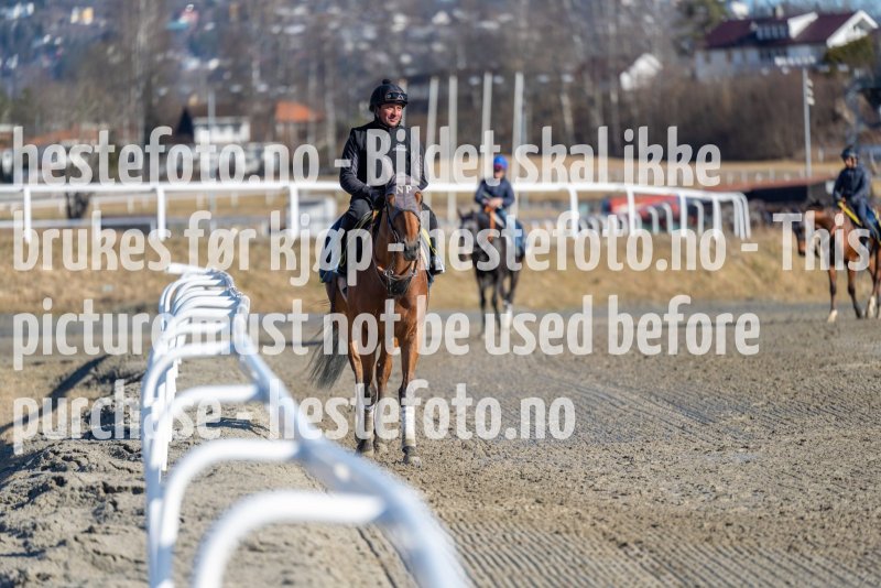 20220319-124215-DSC5373