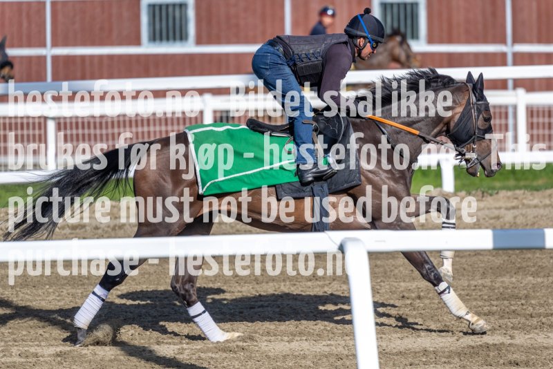 20220507-092215-DSC4207