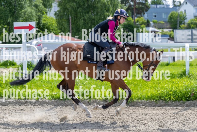 20220619-122949-DSC0405