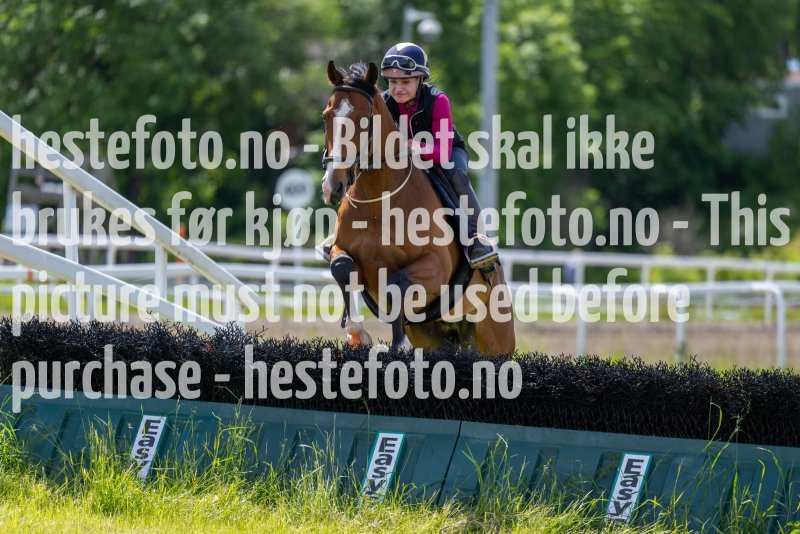 20220619-124120-DSC0629