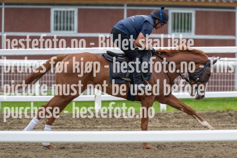 20220813-094510-DSC6426
