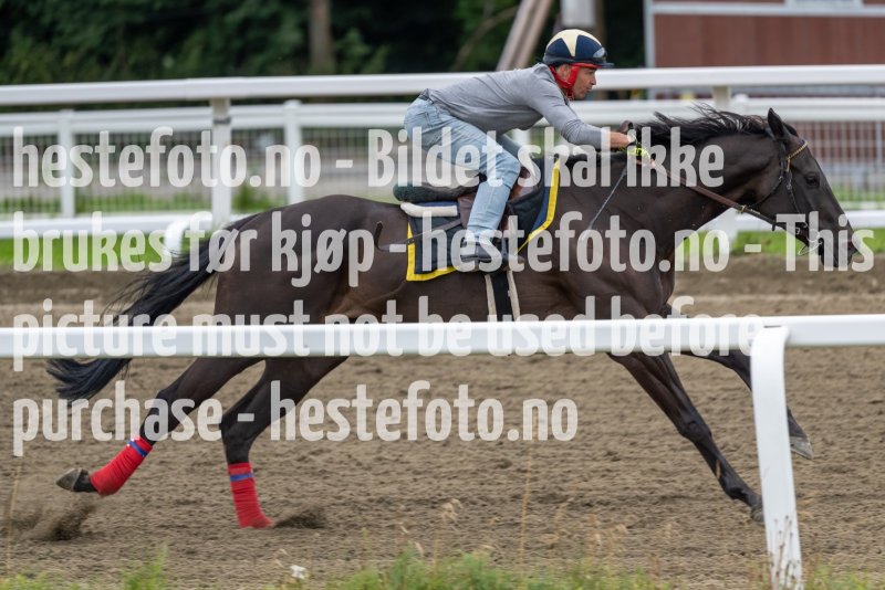 20220813-094734-DSC6440