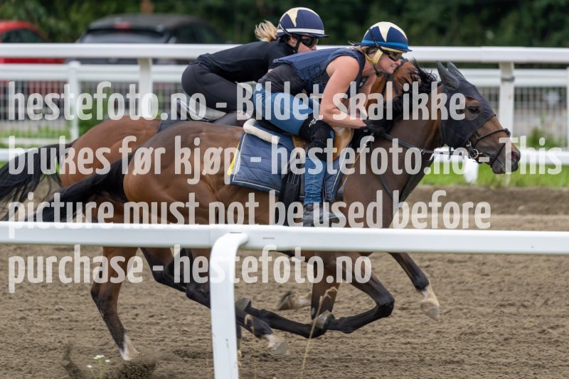 20220813-094854-DSC6464