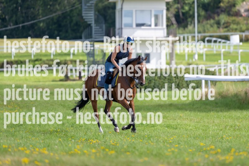 20220813-111210-DSC6547