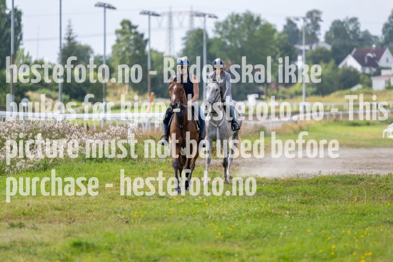 20220813-111003-DSC6526