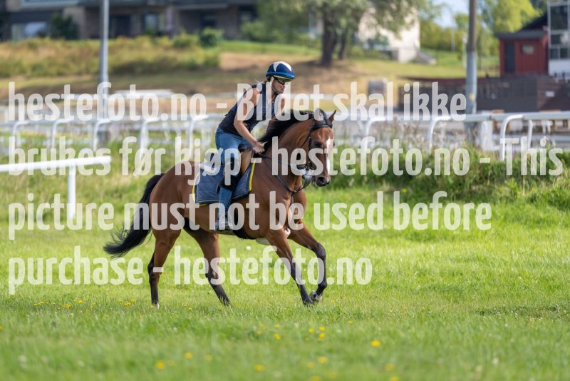 20220813-111214-DSC6552