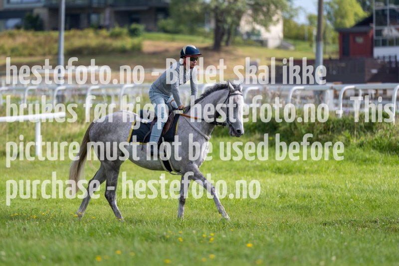 20220813-111215-DSC6554