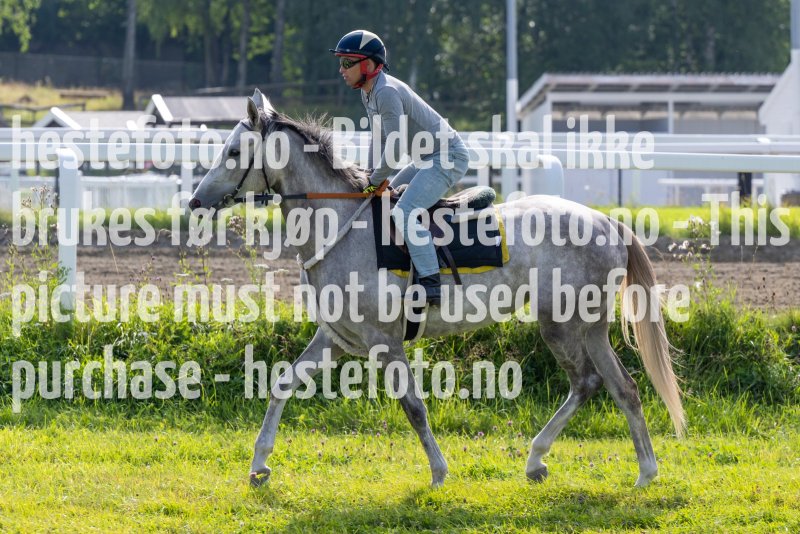 20220813-111553-DSC6584