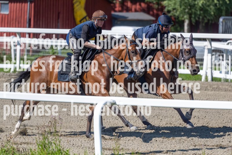 20220813-114719-DSC6742