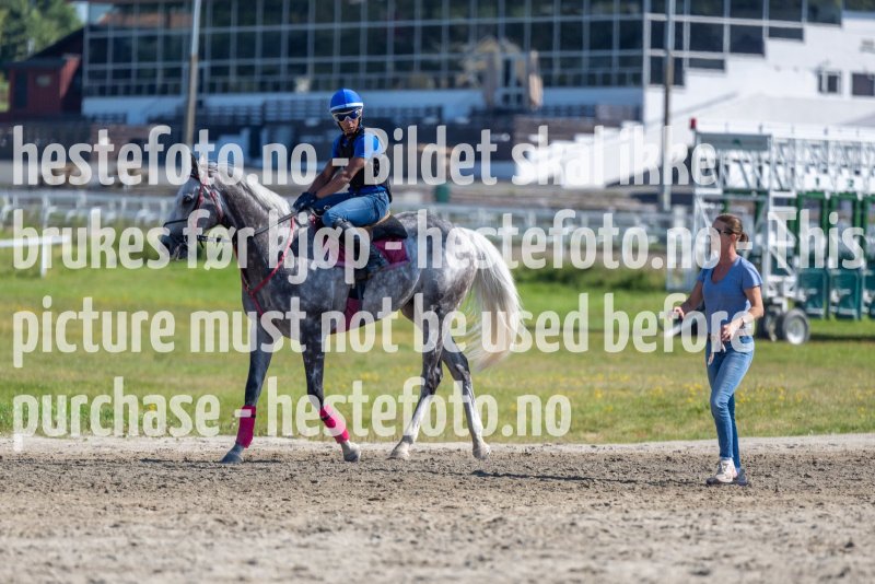 20220813-115051-DSC6805
