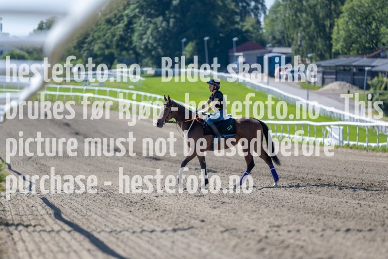 20220813-125028-DSC6812