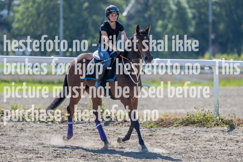 20220813-125149-DSC6840