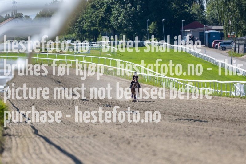 20220813-125712-DSC6892