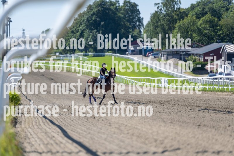 20220813-125459-DSC6870
