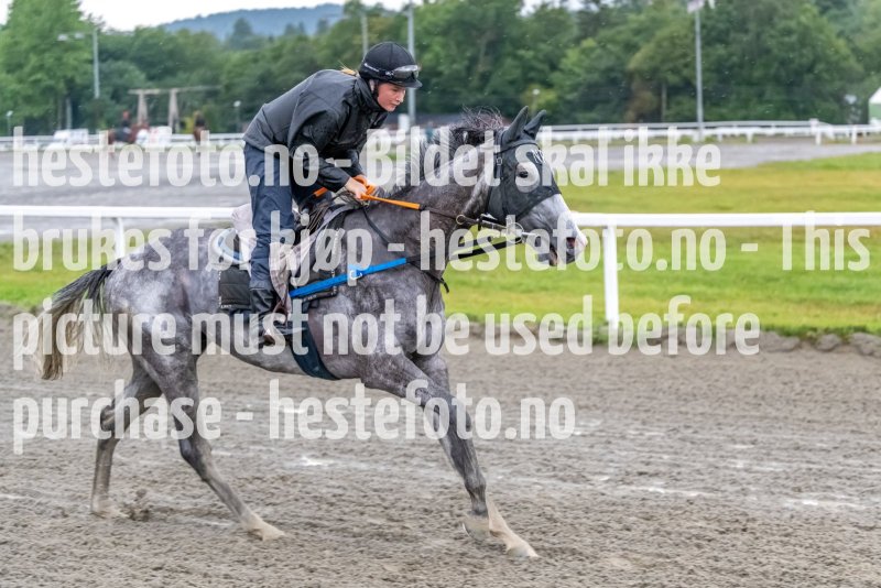 20220816-074607-DSC7616