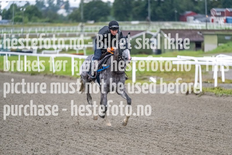 20220816-074605-DSC7602
