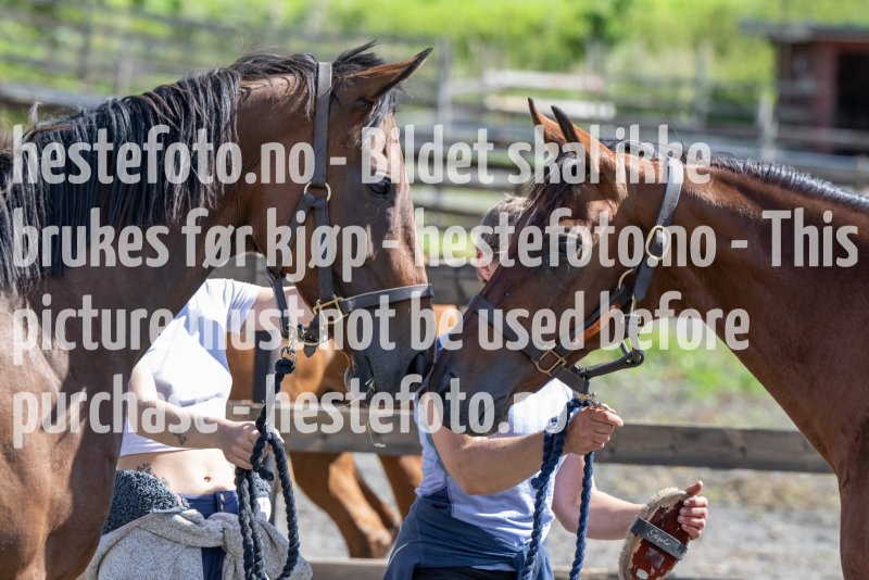 20230810-124547-DSC_7561