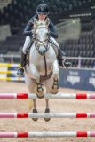 20251010-110750-DSC_7453