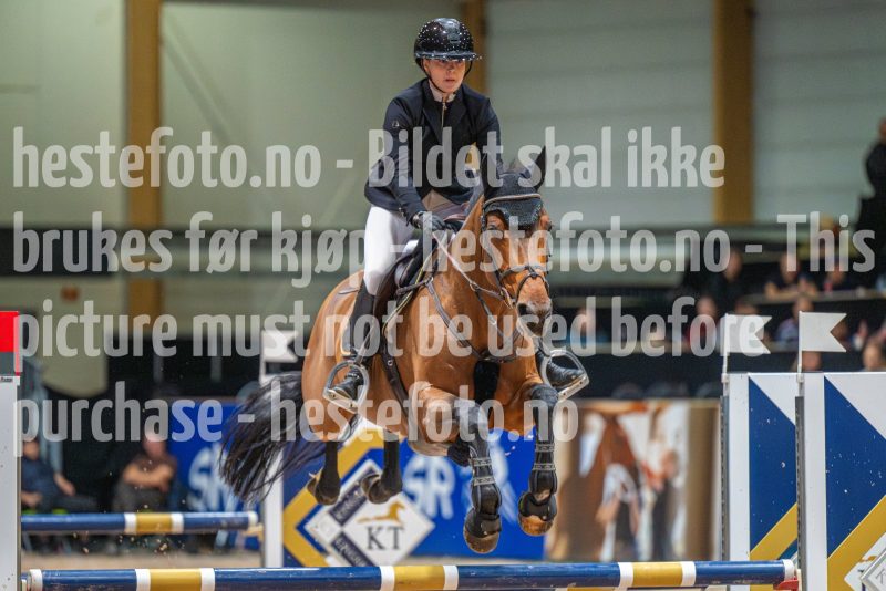 20251011-120745-DSC_8691