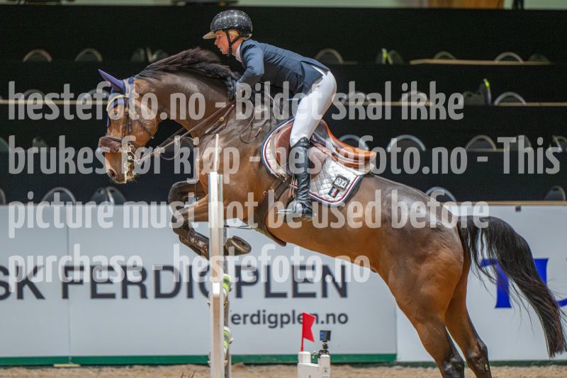 20251011-121223-DSC_8916