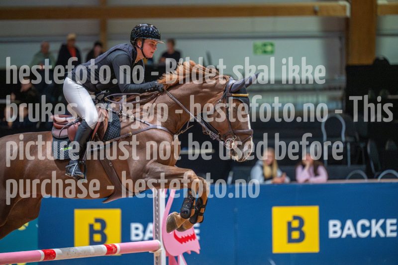 20251011-121640-DSC_9101