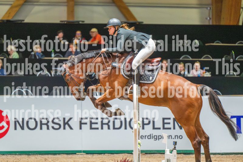 20251011-132601-DSC_1620