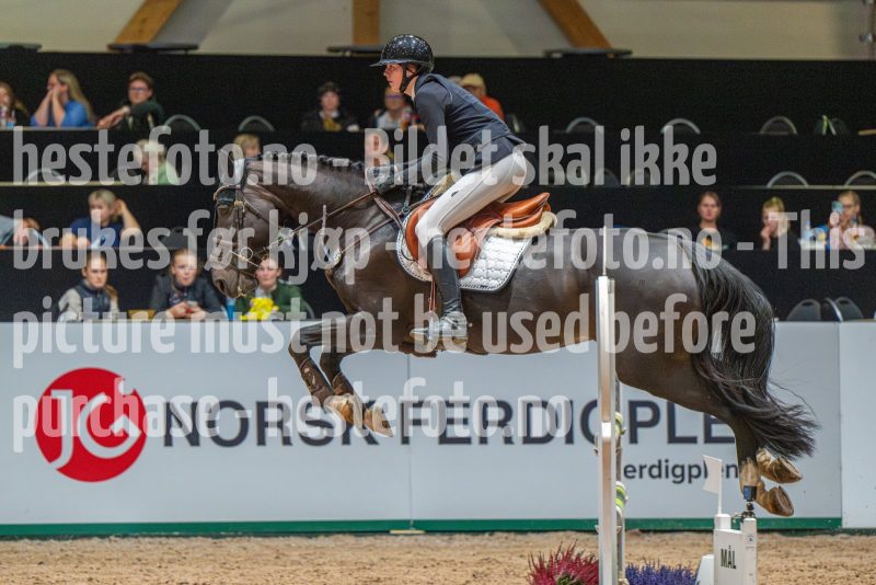 20251011-133513-DSC_1925