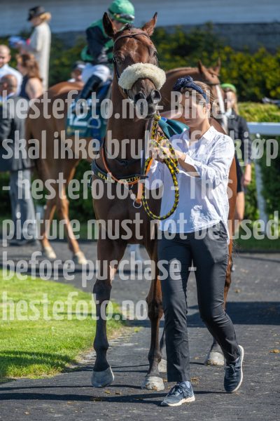 20250824-131432-DSC1808